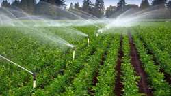 اجرای ۴۱ هزار هکتار طرح‌های آب و خاک در خراسان شمالی تا پایان برنامه هفتم